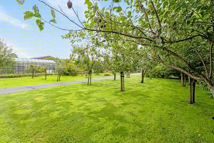 Foto 44 van Reijerskoop 120