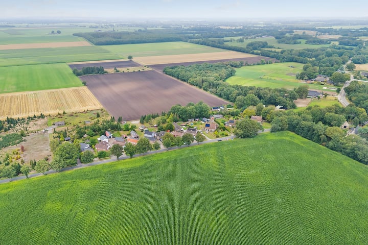 Bekijk foto 3 van Westerhuizingerweg 19