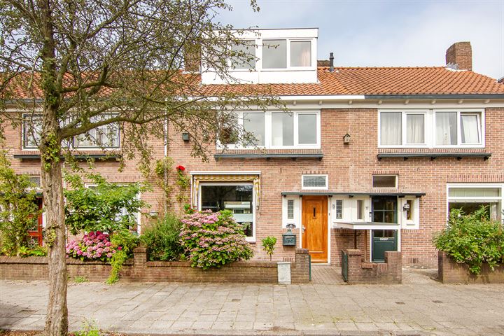 Bekijk foto 1 van Ternatestraat 9