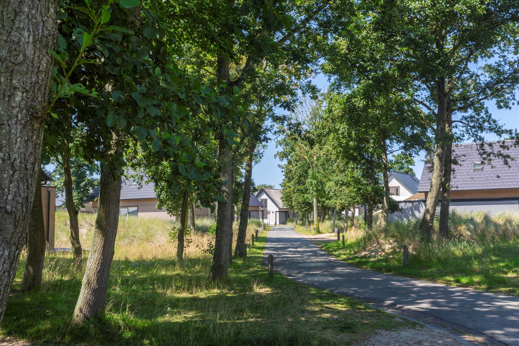 Foto 6 van Ridderstee 235