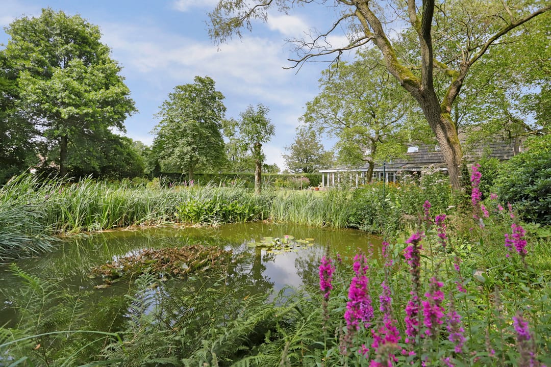 Foto 2 van Poterseind 7