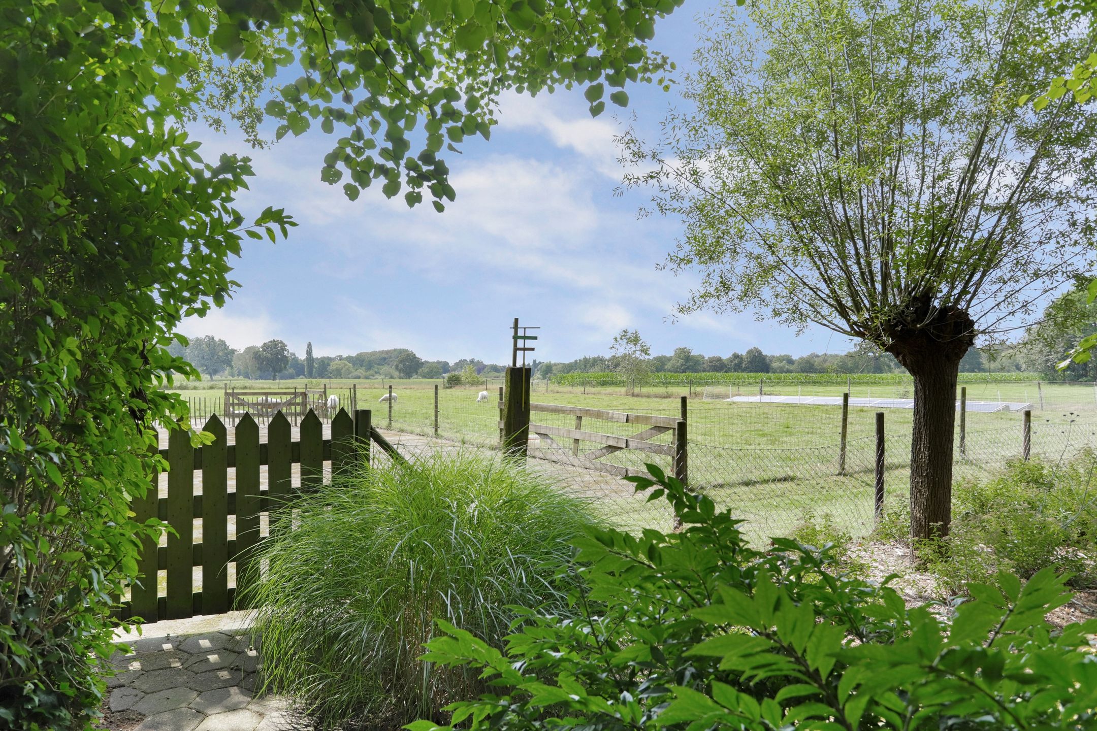 Foto 3 van Poterseind 7