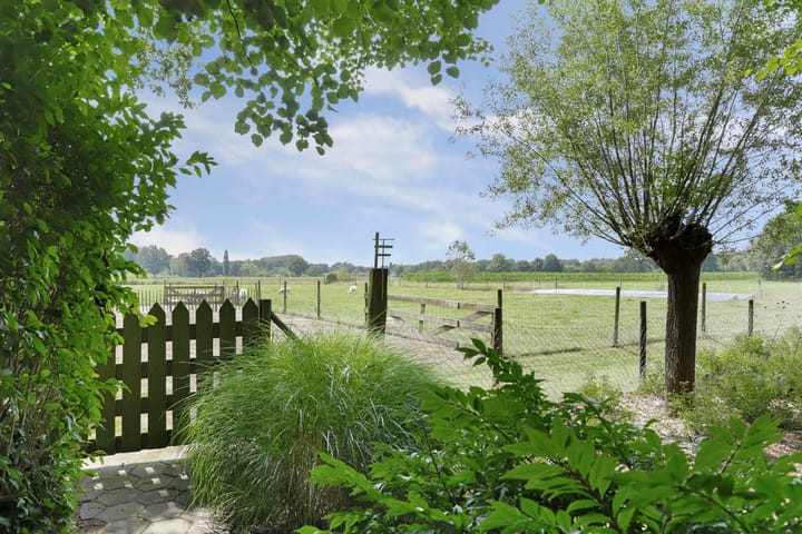 Foto 3 van Poterseind 7