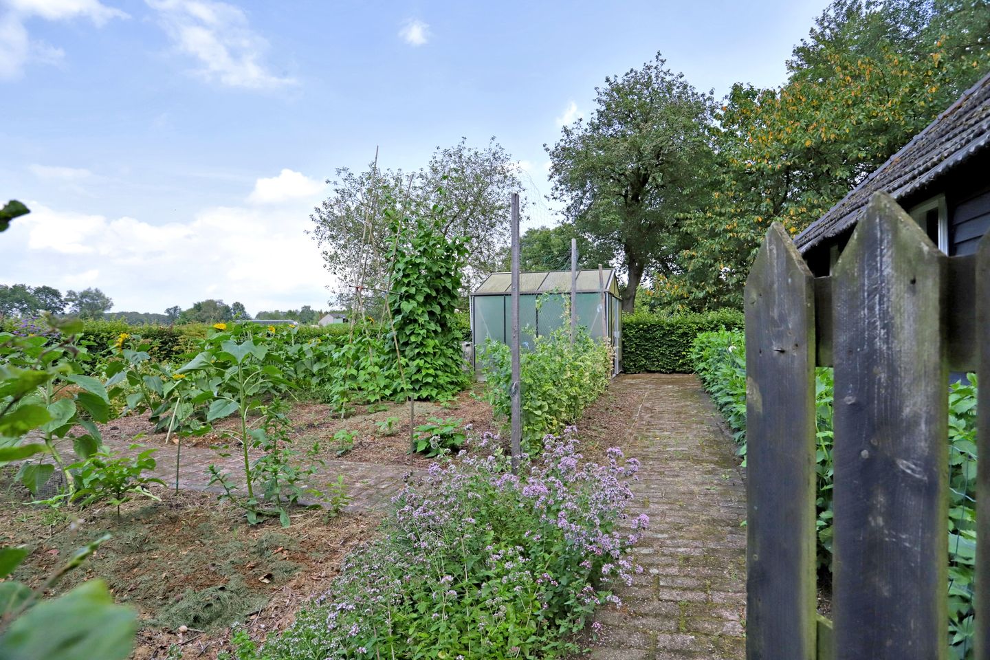 Foto 59 van Poterseind 7