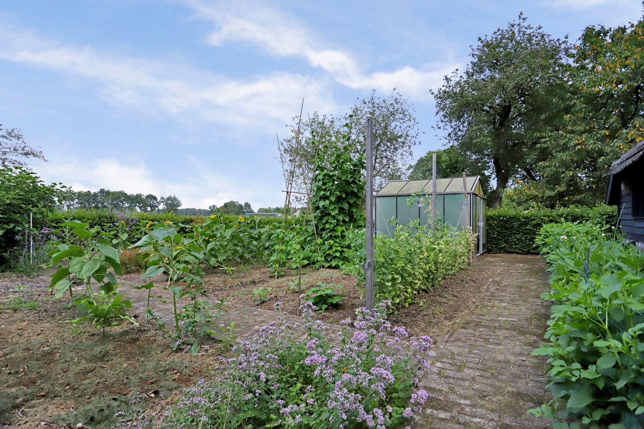 Foto 60 van Poterseind 7