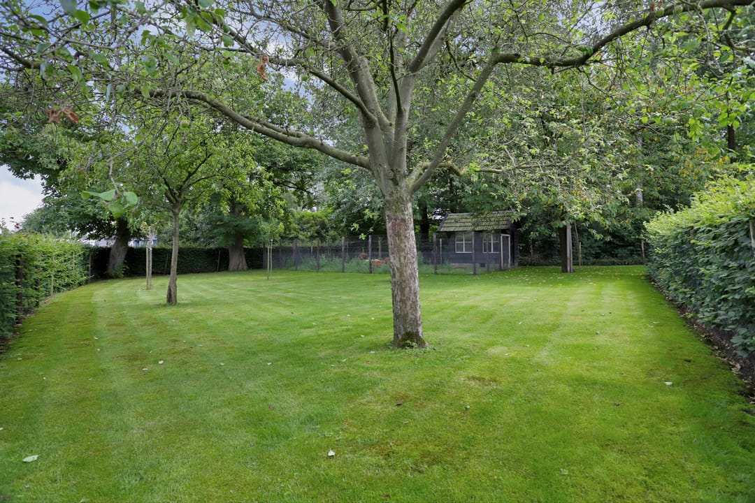 Foto 62 van Poterseind 7