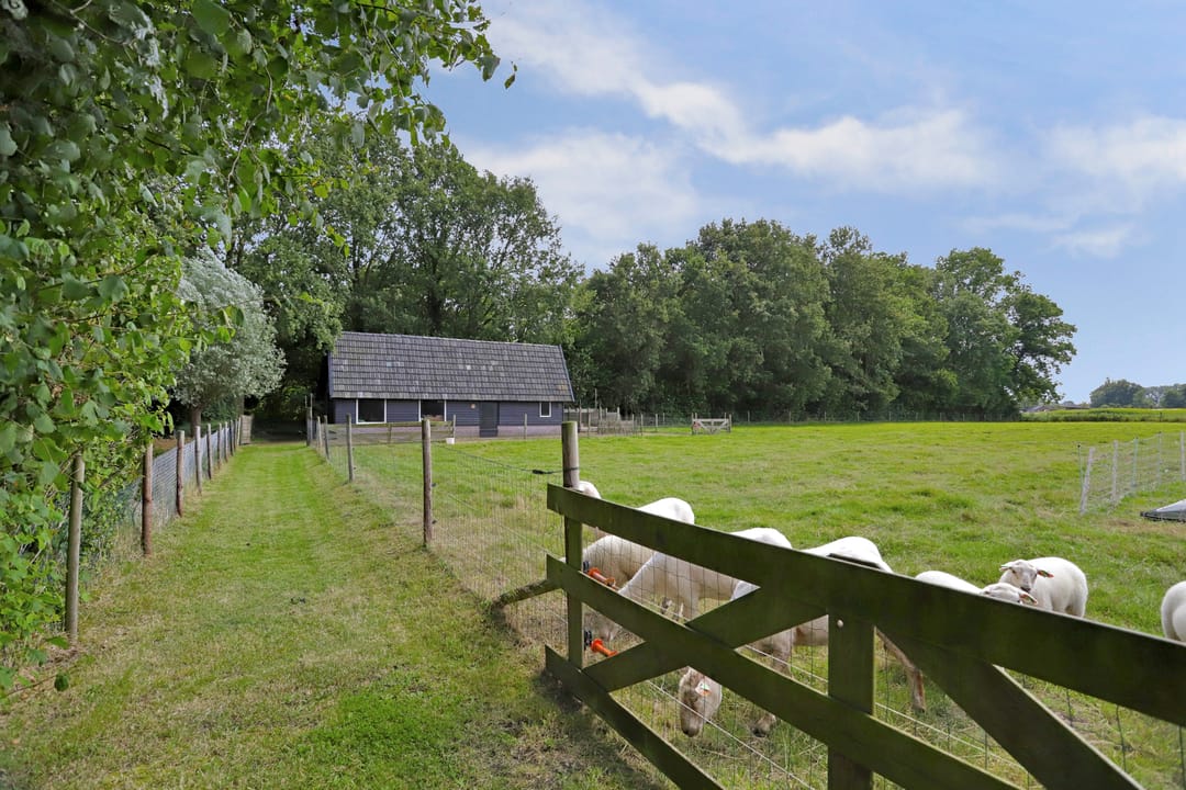 Foto 76 van Poterseind 7