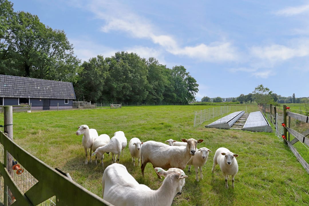 Foto 77 van Poterseind 7