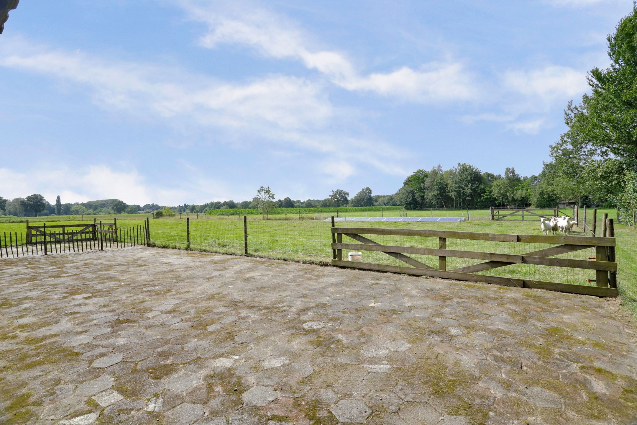 Foto 78 van Poterseind 7