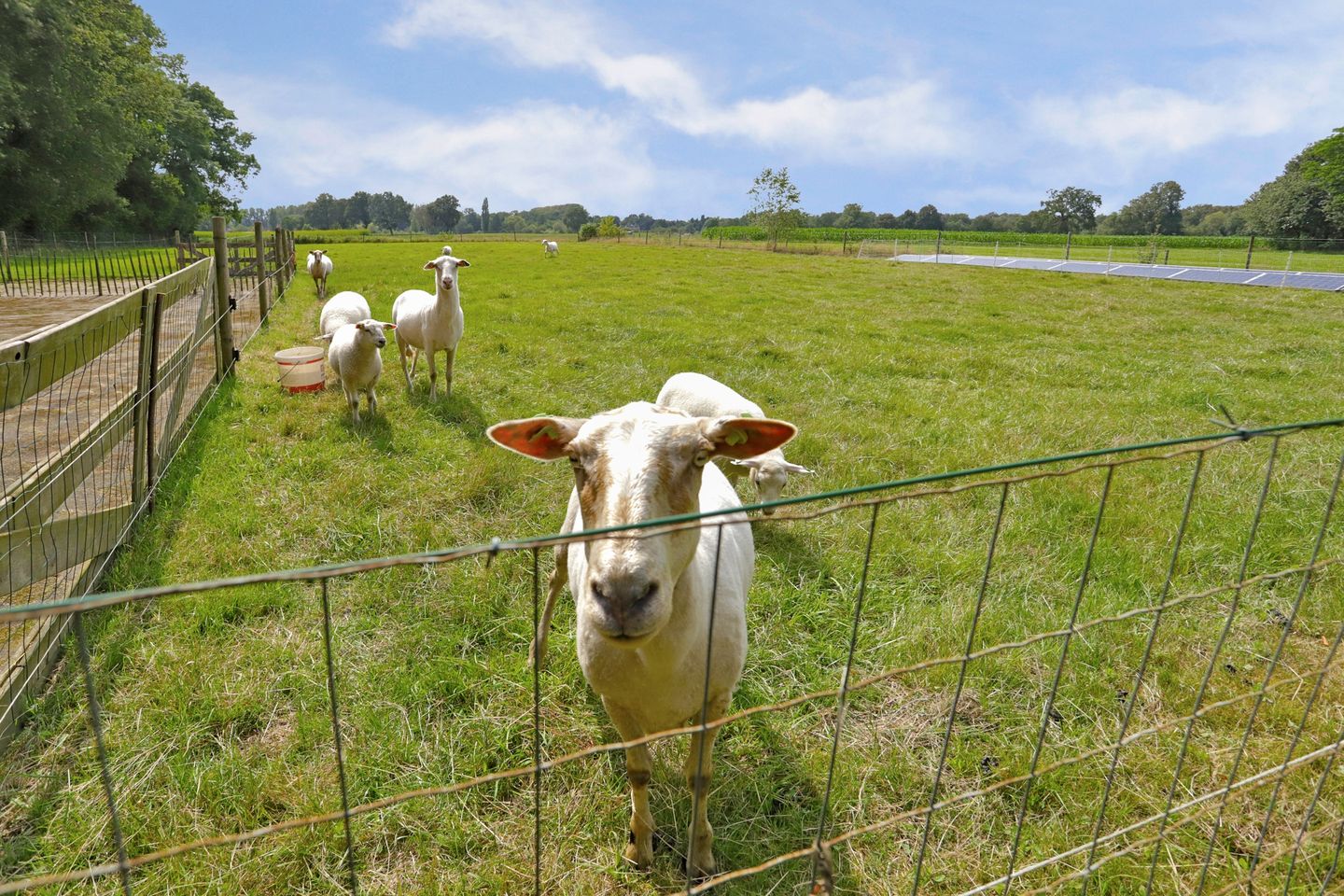 Foto 79 van Poterseind 7