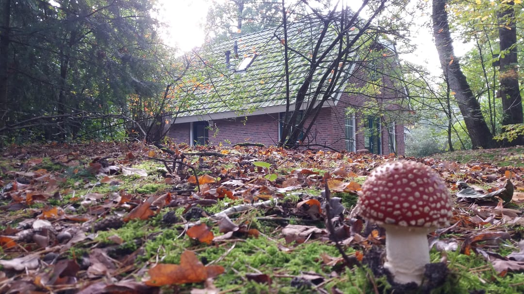 Foto 26 van Hof van Halenweg 2-111