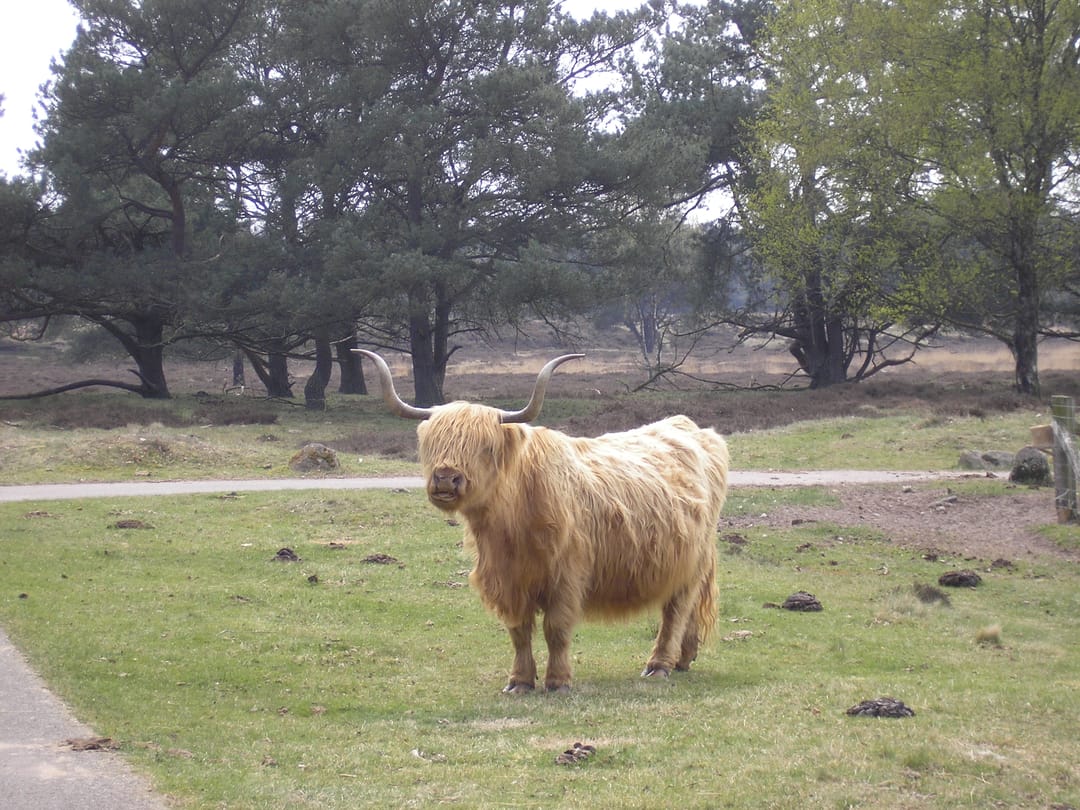 Foto 28 van Hof van Halenweg 2-111