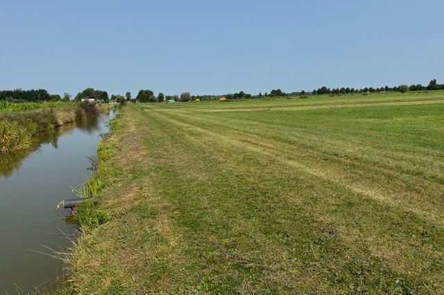 Bekijk foto 4 van Schadewijkerweg 8