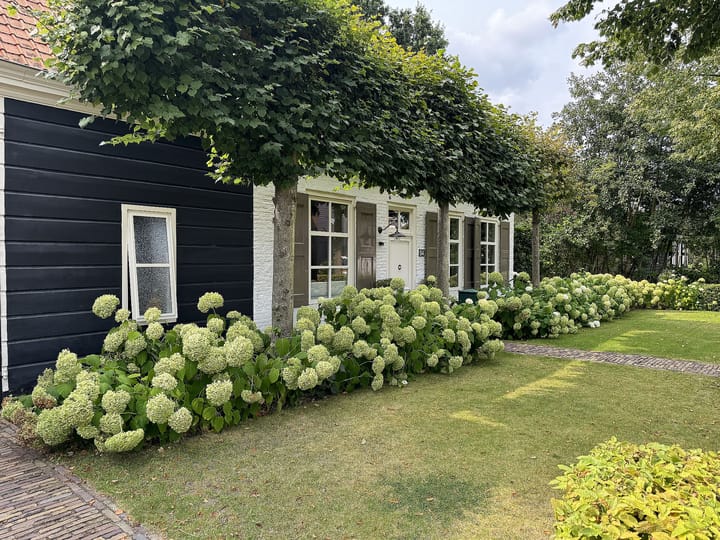 Foto 57 van Noordweg 54