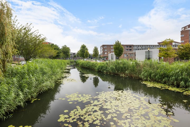 Foto 46 van Zuidersingel 268