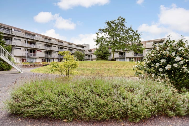 Foto 2 van Van de Spiegelstraat 46