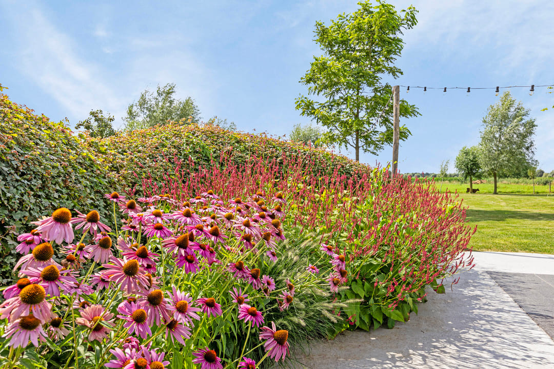 Foto 32 van Wielblok 5