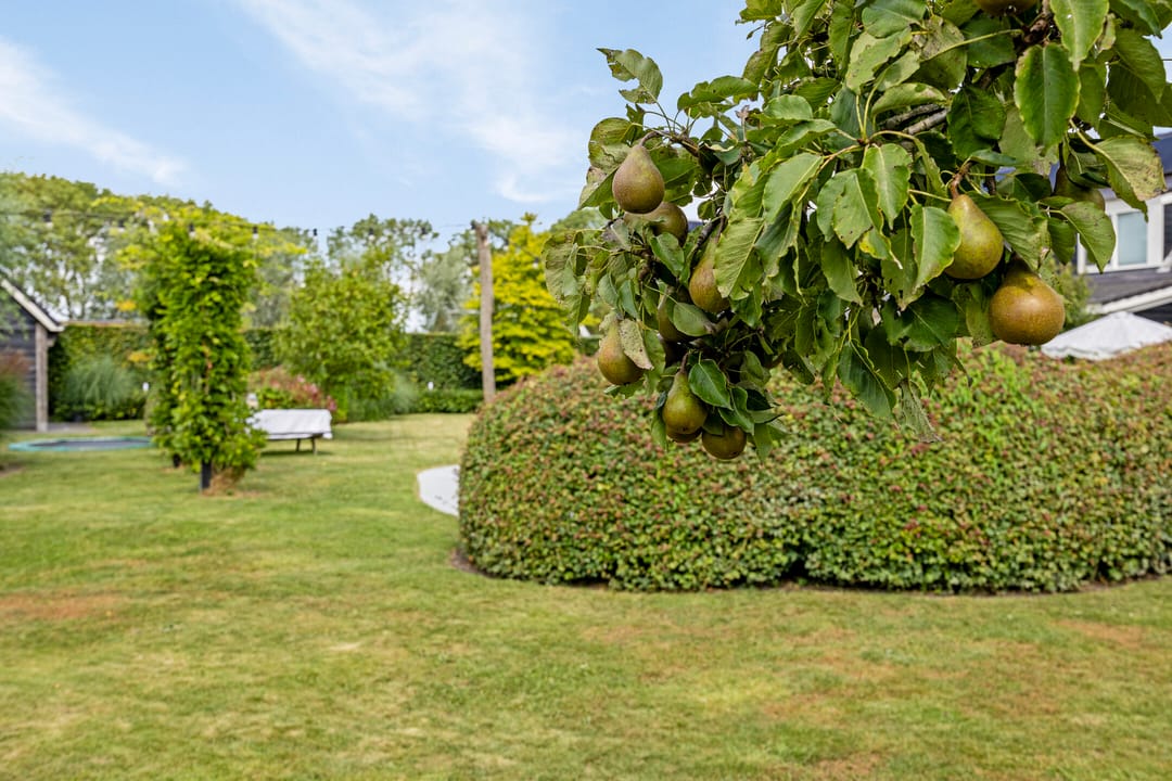 Foto 43 van Wielblok 5