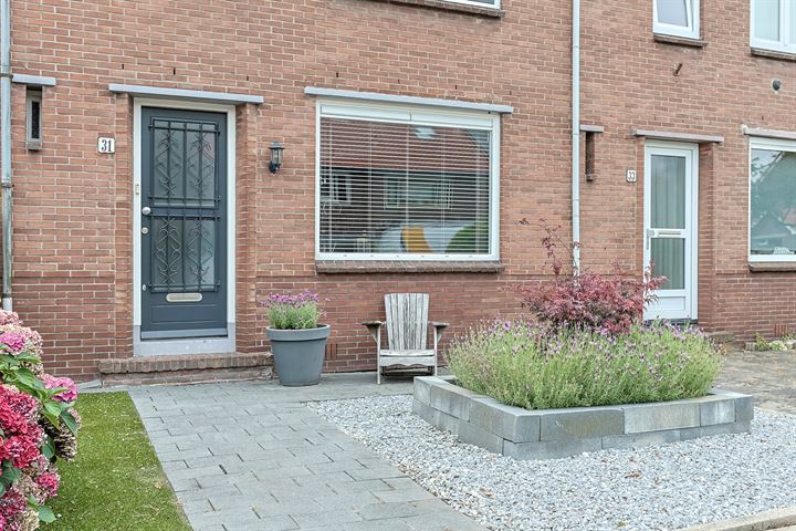 Bekijk foto 4 van Ruisdaelstraat 31