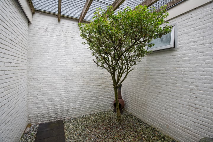 Bekijk foto 13 van Wildemanstraat 12