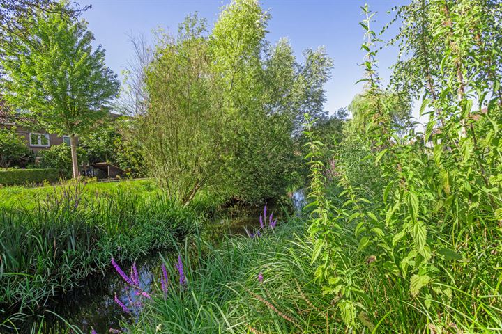 Bekijk foto 40 van Schoonveldsingel 18