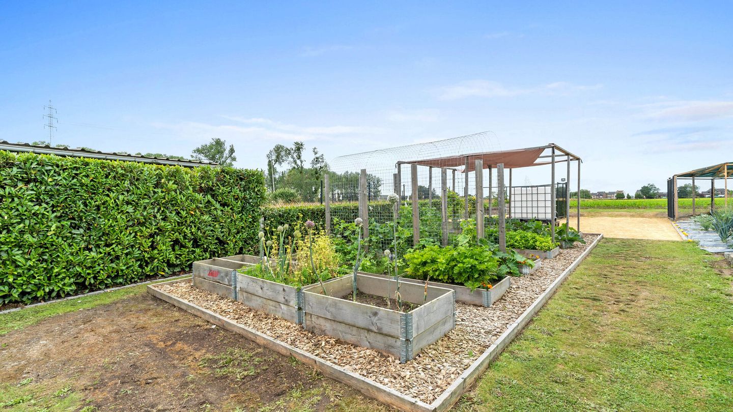 Foto 29 van Bloemendaalstraat 47