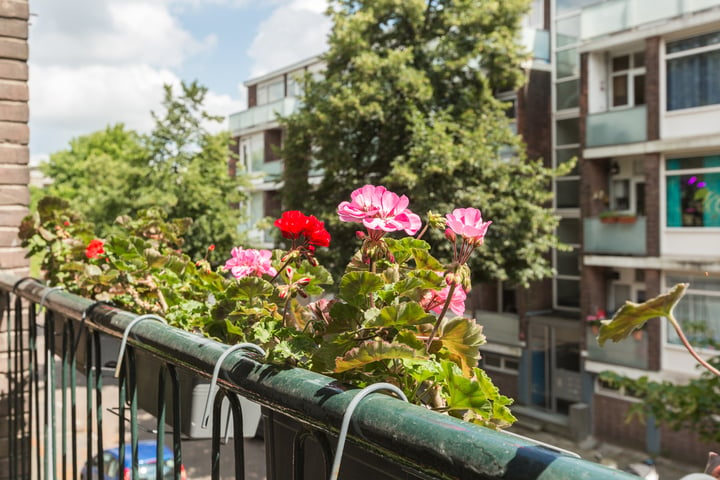 Bekijk foto 15 van Galjootstraat 13-B