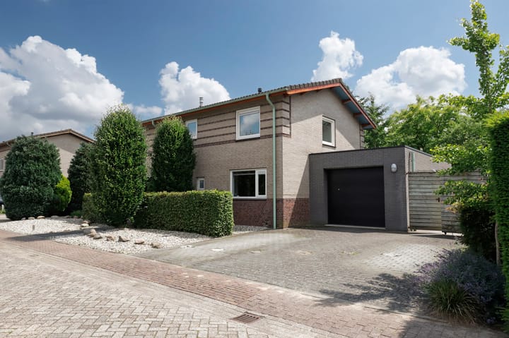 Foto 1 van Vroegeling 16