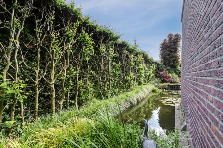 Foto 43 van Vroegeling 16