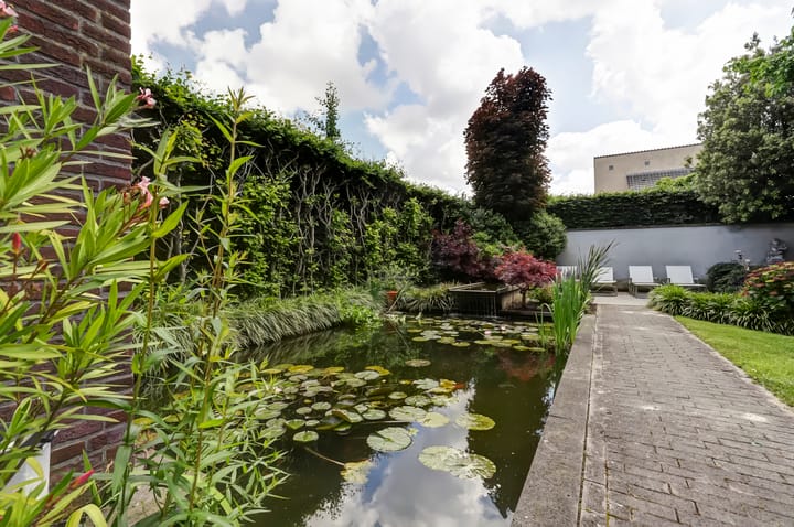 Foto 44 van Vroegeling 16