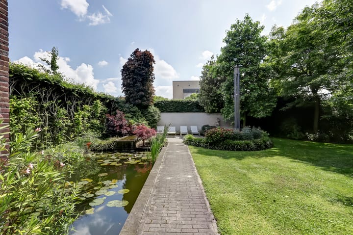 Foto 45 van Vroegeling 16