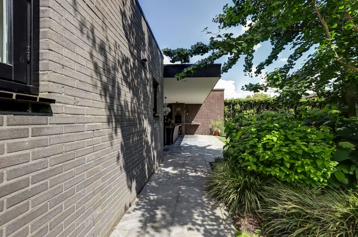 Foto 48 van Vroegeling 16