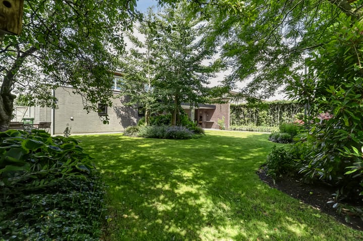 Foto 50 van Vroegeling 16