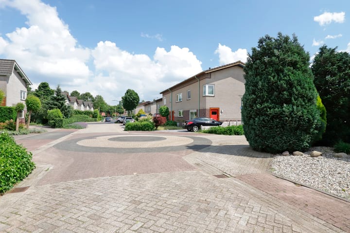 Foto 55 van Vroegeling 16