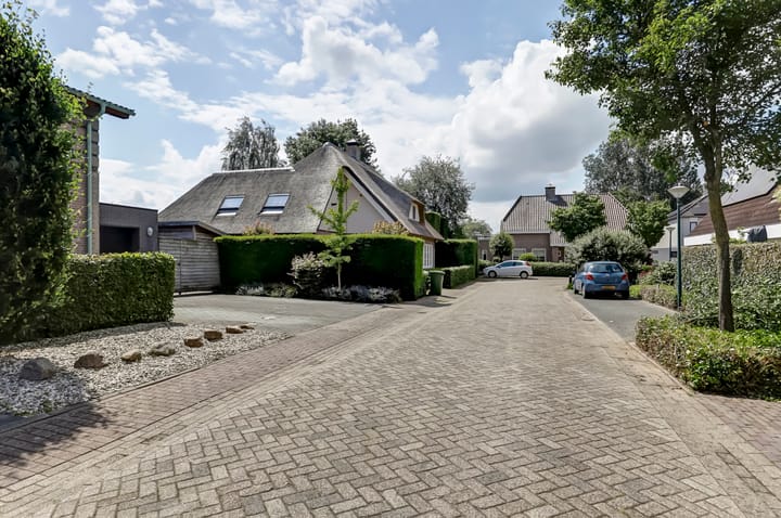 Foto 56 van Vroegeling 16