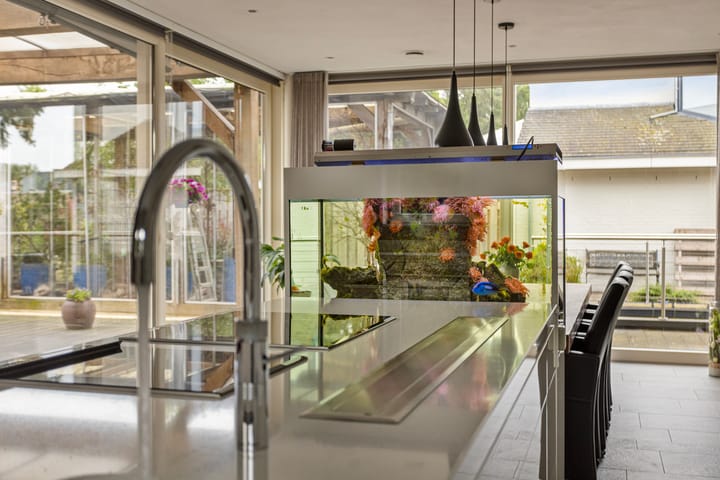 Foto 23 van Half Elfje 16-A