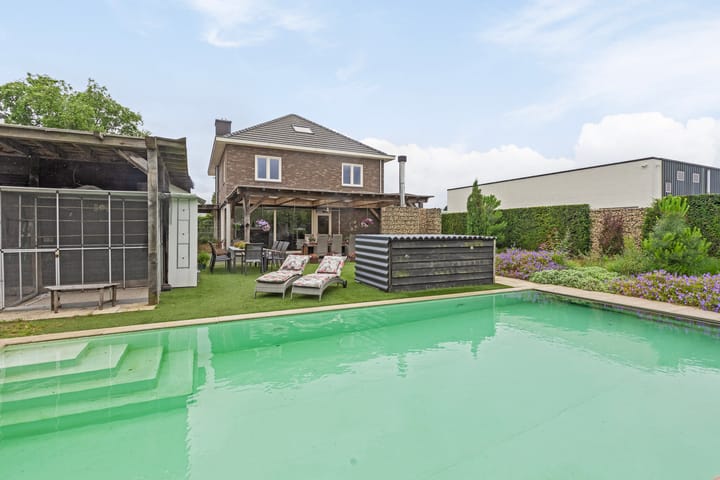 Foto 50 van Half Elfje 16-A