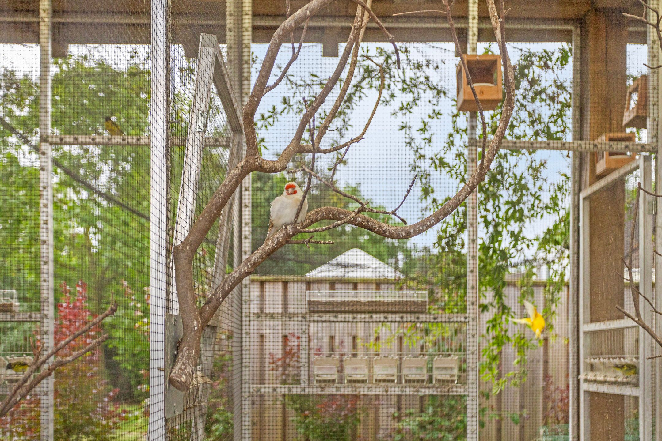 Photo 57 of Half Elfje 16-A