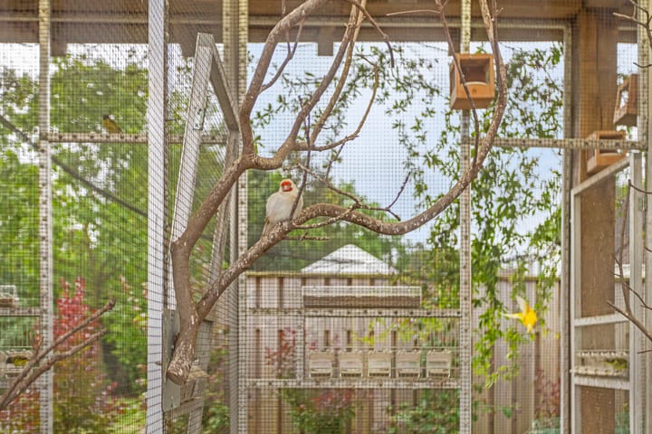 Foto 57 van Half Elfje 16-A