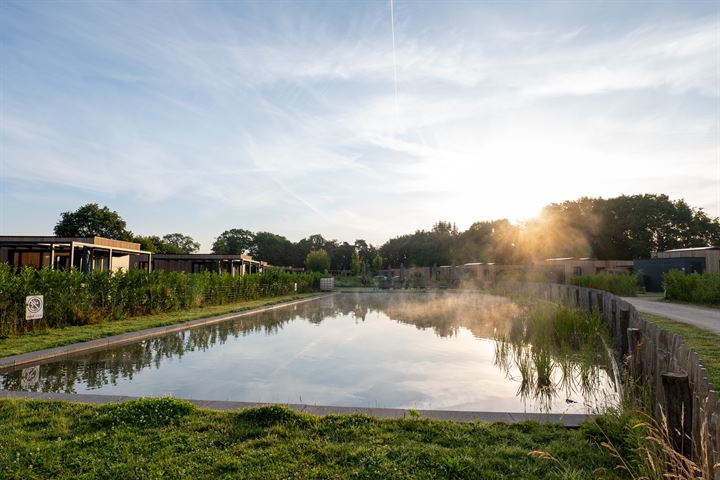 Bekijk foto 14 van Vosseveldseweg 15-126