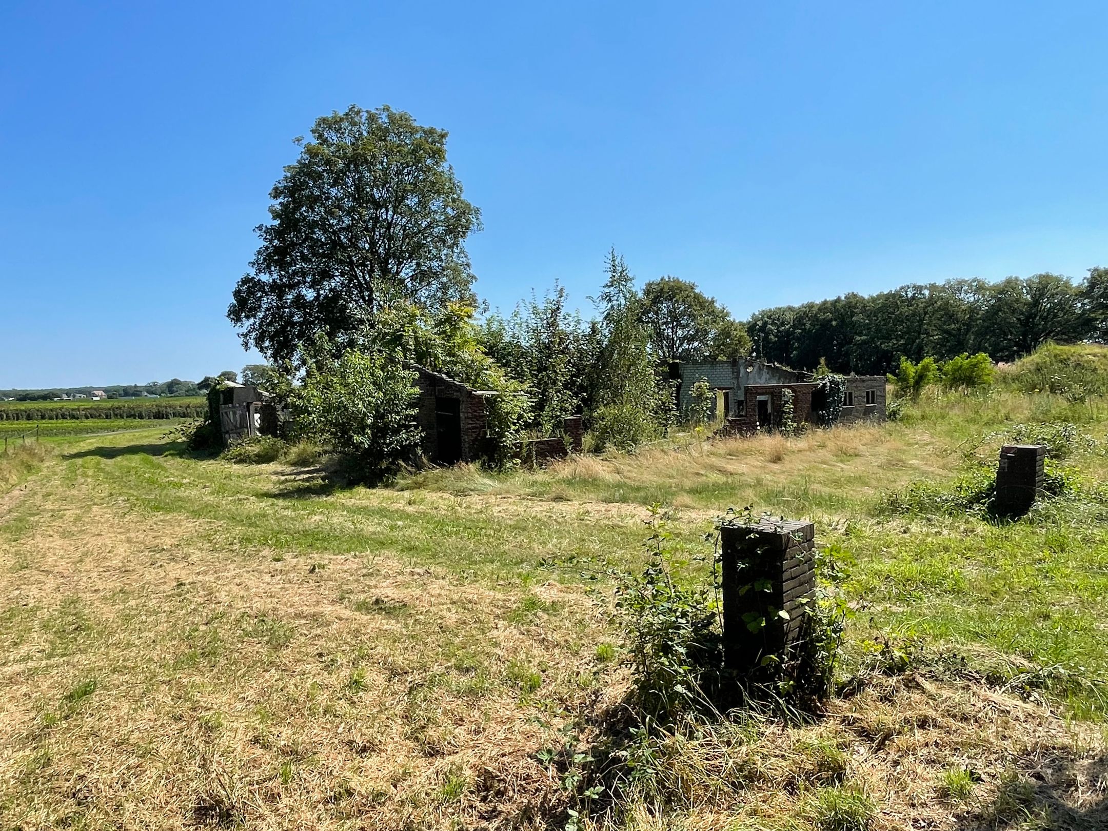 Foto 3 van Scherpenbergsebaan 18