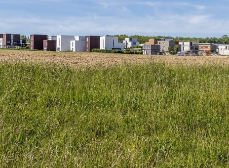 Pinksterbloem - kavel 223 thumbnail