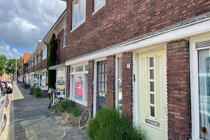 Rochus Meeuwiszstraat 5