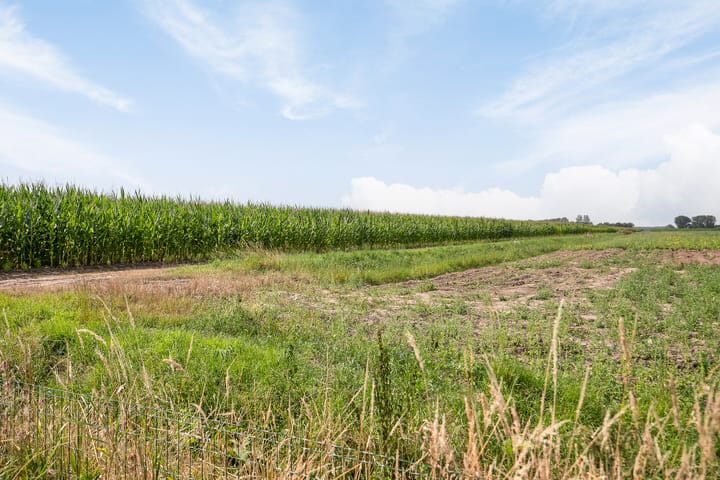 Foto 45 van Zandbergsestraat 40