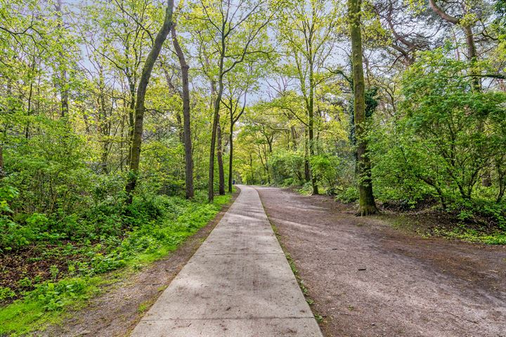 Bekijk foto 25 van Soesterbergsestraat 111-108