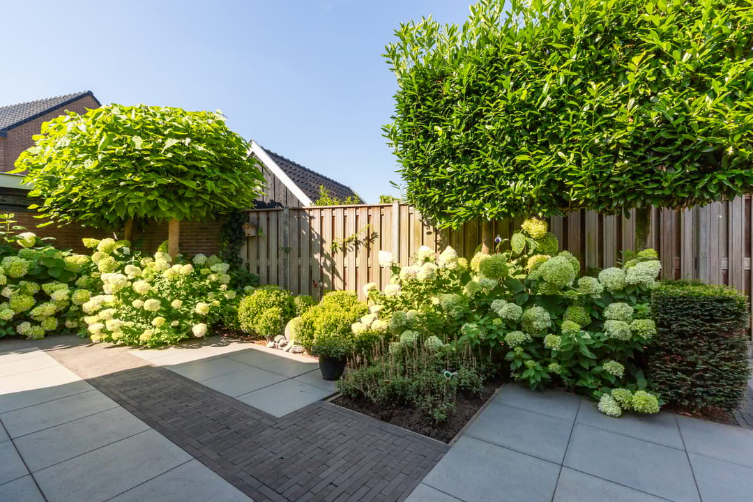 Photo 22 of Molenparkweg 37