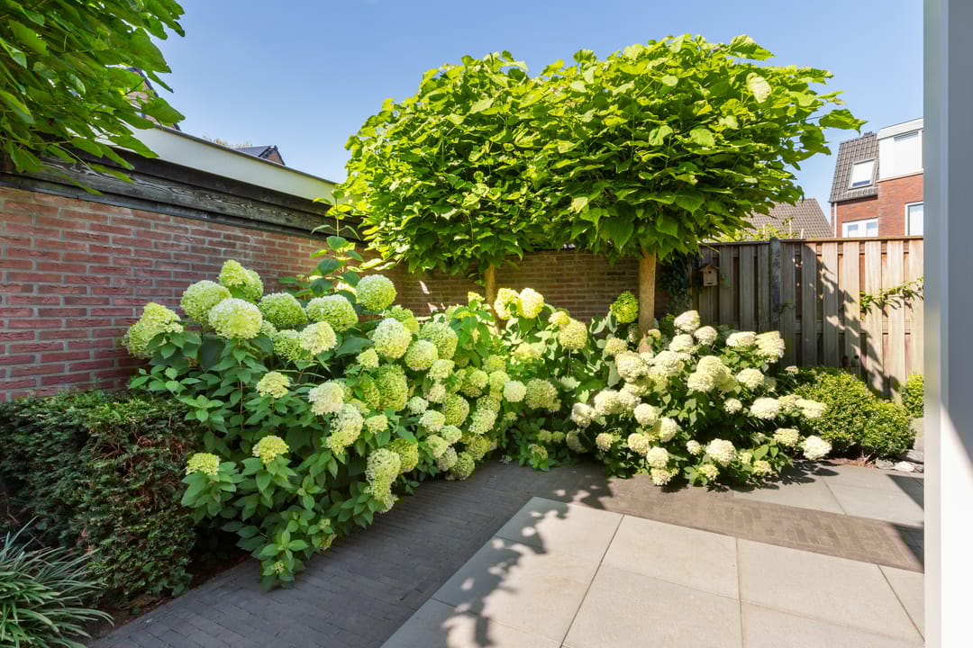 Photo 23 of Molenparkweg 37