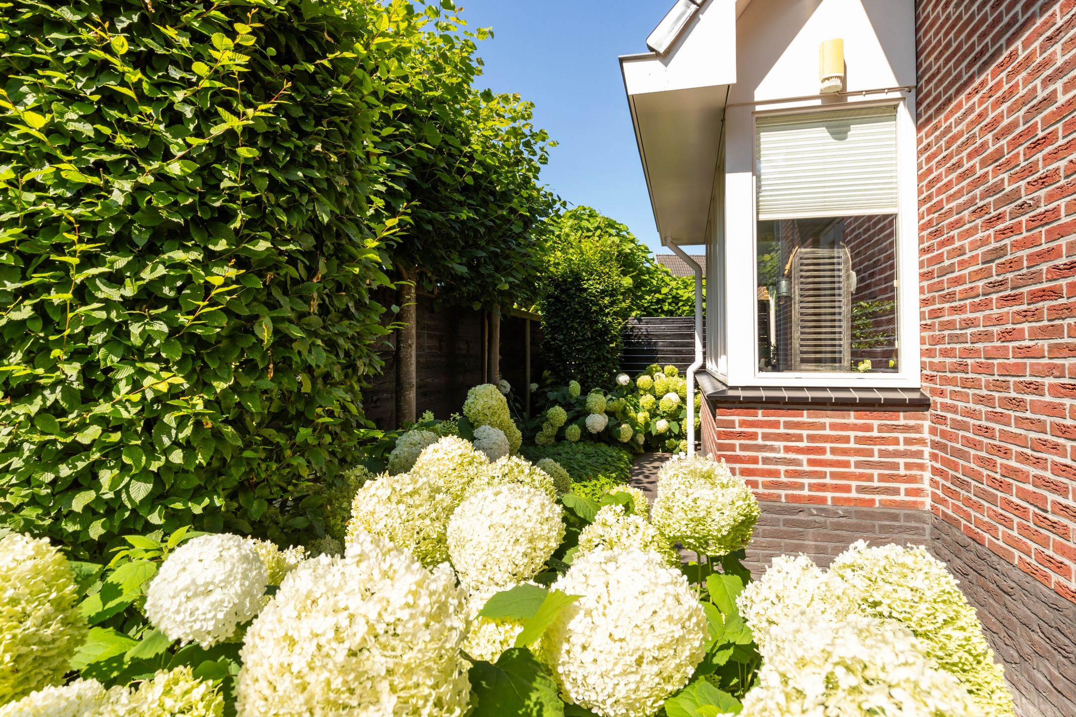 Photo 24 of Molenparkweg 37