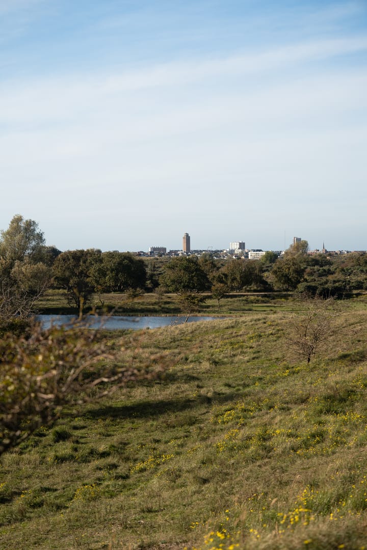 Foto 13 van Watertorenplein 33