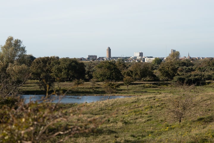 View photo 13 of Watertorenplein 33